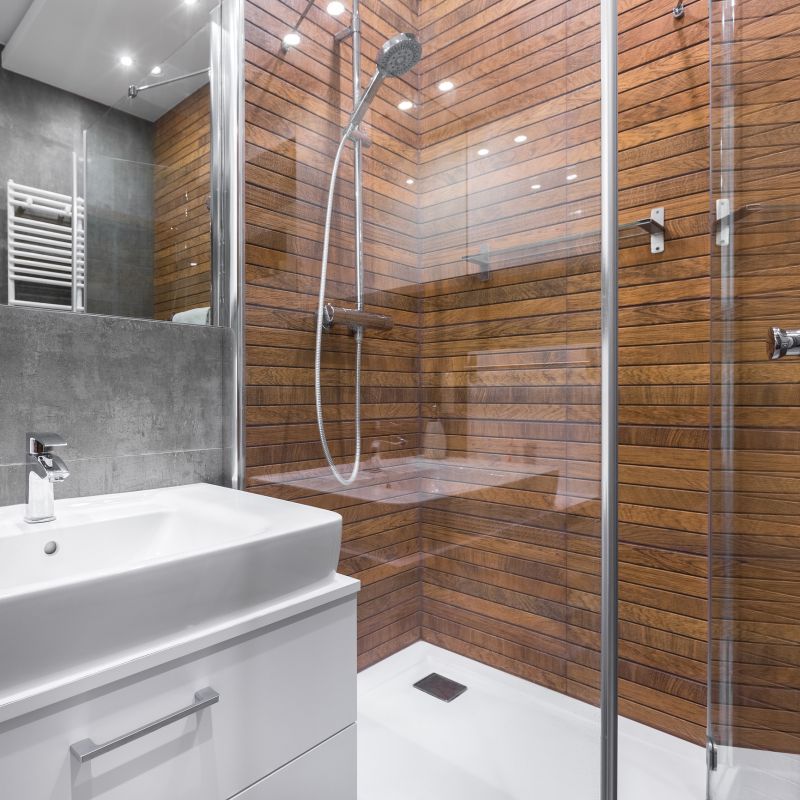 Stylish Shower Door