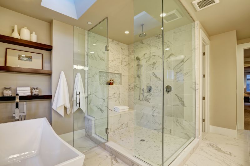 Modern Shower with Recessed Shelves
